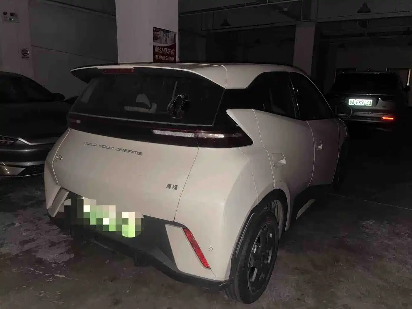 BYD Seagull 2024 Glory Edition 305km Freedom Edition фото 5