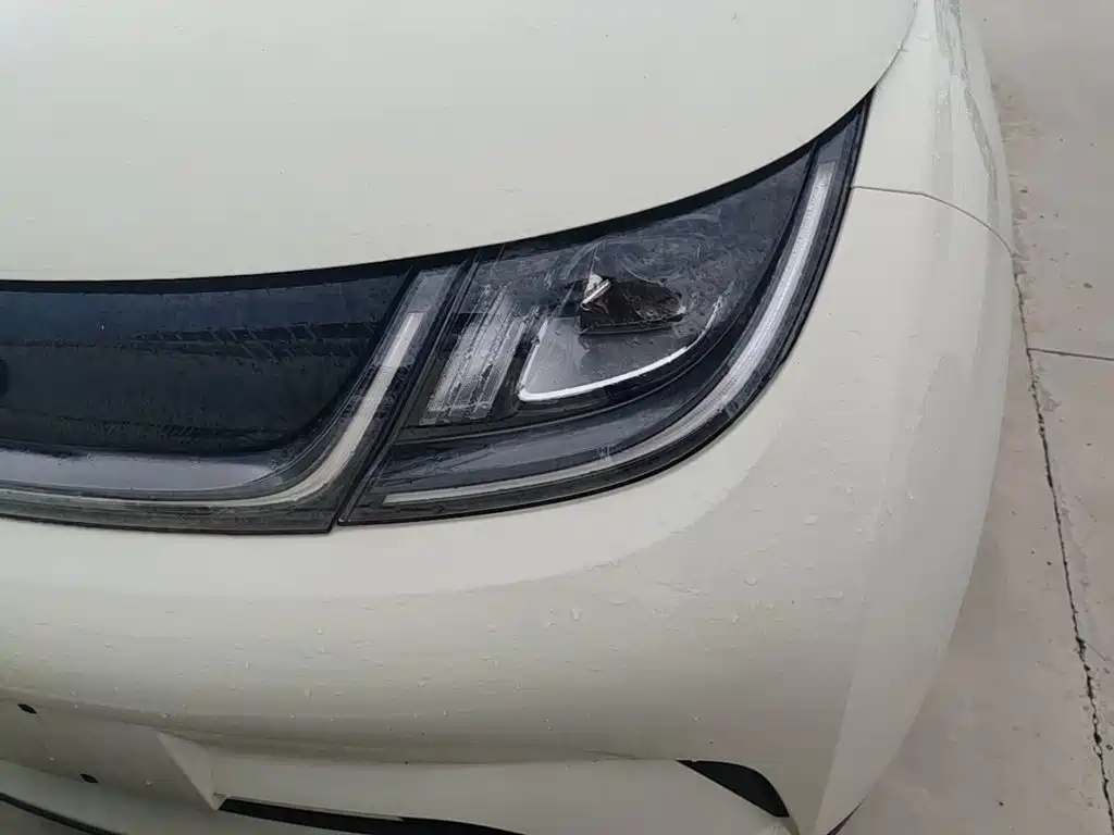 BYD Dolphin 2026 2025 420km Freedom Edition