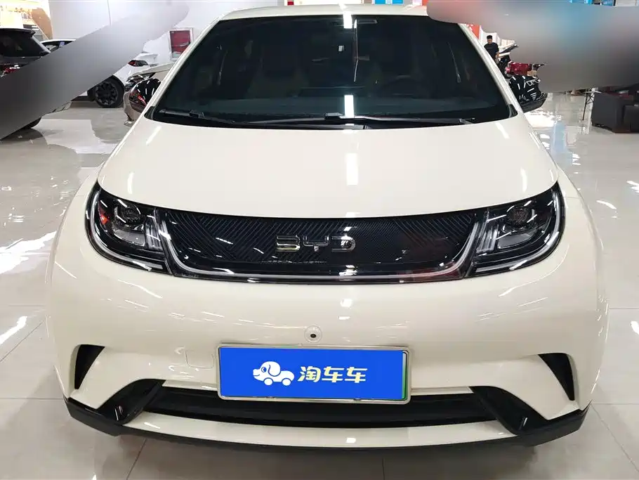 BYD Dolphin 2025 420km Freedom Edition фото 2