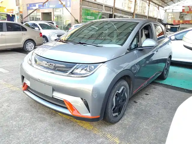 BYD Dolphin 405km, Свобода