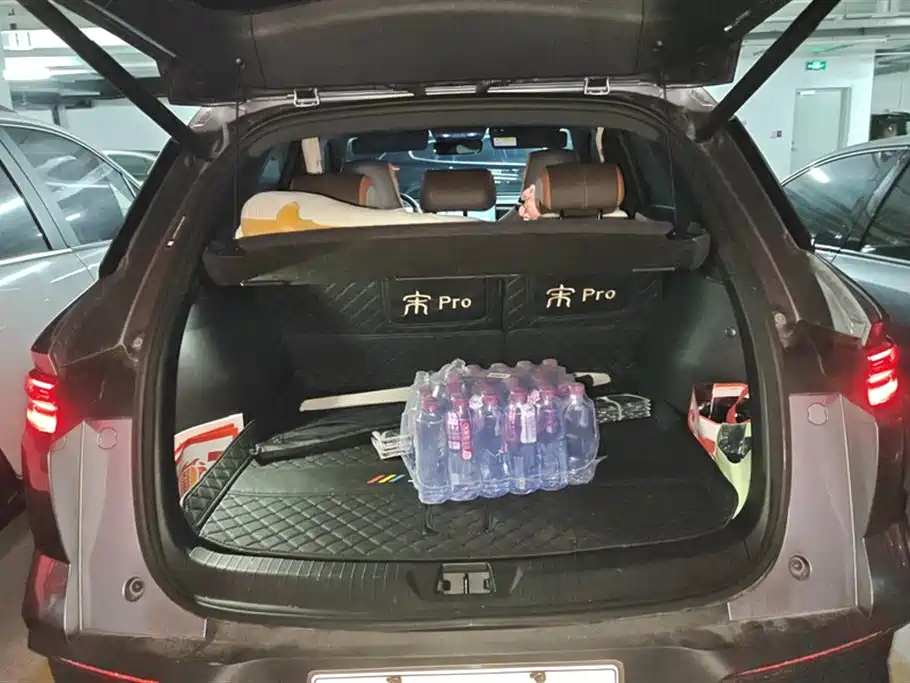 BYD Song Pro New Energy 2023 Champion Edition DM-i 110KM Excellence фото 4