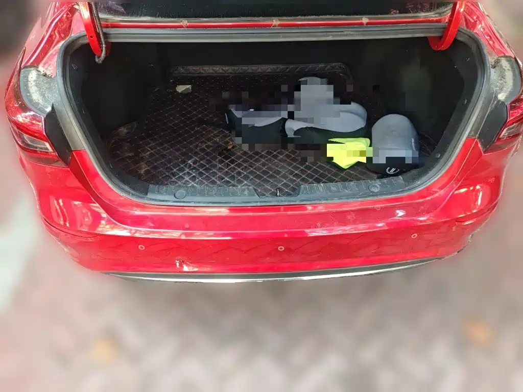 Photo 20 - Changan Eado