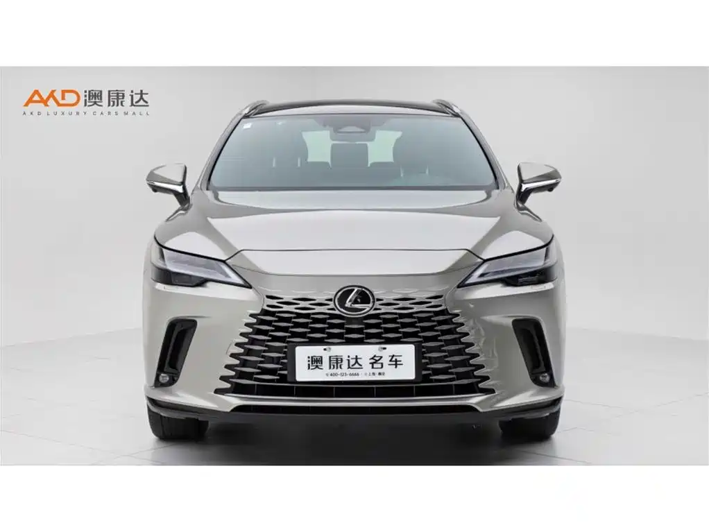 Lexus RX New Energy 2023 450h+ 4WD Enjoyment фото 2