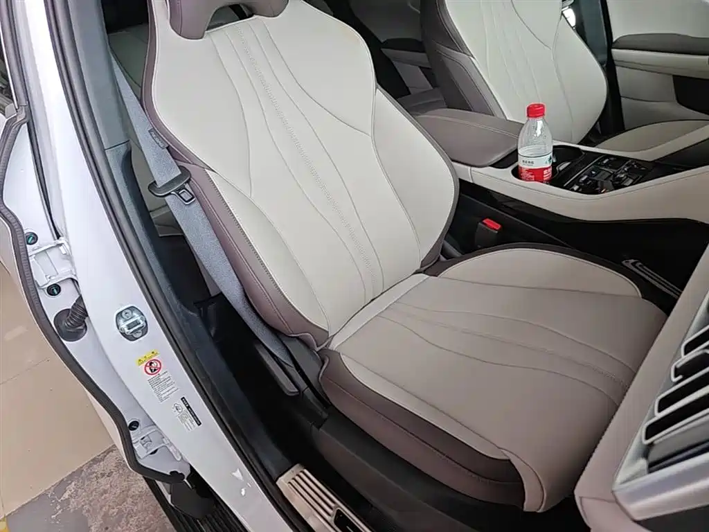 BYD Song PLUS PHEV 2025 DM-i 112KM Premium фото 25