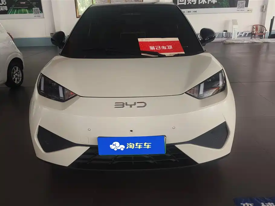 BYD Seagull 2025 Smart Drive Edition 305km Freedom Version фото 2