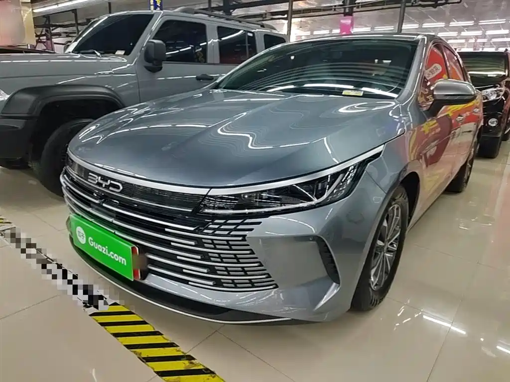 BYD Destroyer 05 2024 Glory Edition DM-i 55KM Luxury