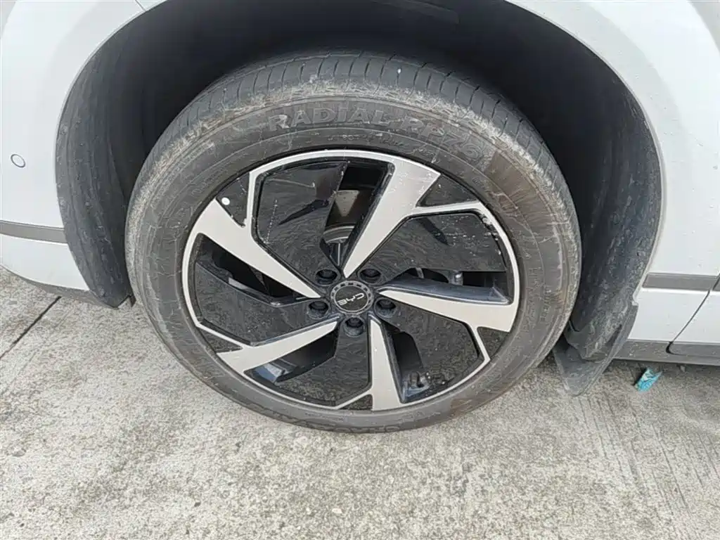 BYD Sealion 06 New Energy 2025 EV 605 Pilot Pro Edition фото 23