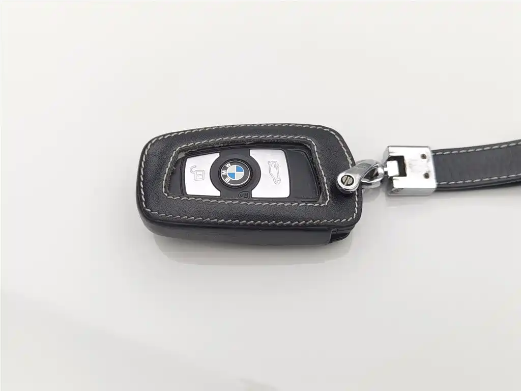 BMW 3 Series 2016 320Li Progressive фото 19