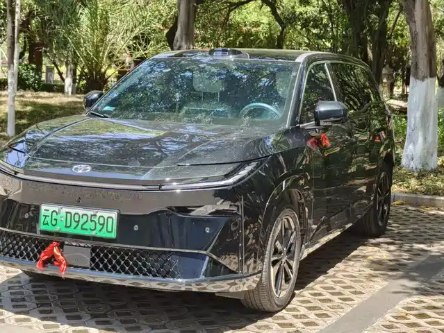 TOYOTA PLATINUM WISDOM 3X