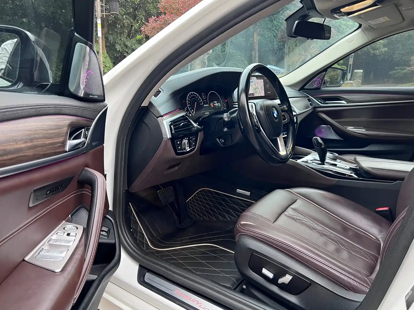 BMW 5 Series 2019 530Li Premium Luxury Package фото 4