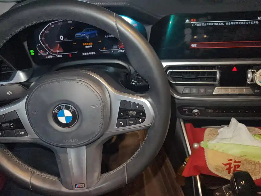 BMW 3 Series 2020 320Li M Sport Package фото 13
