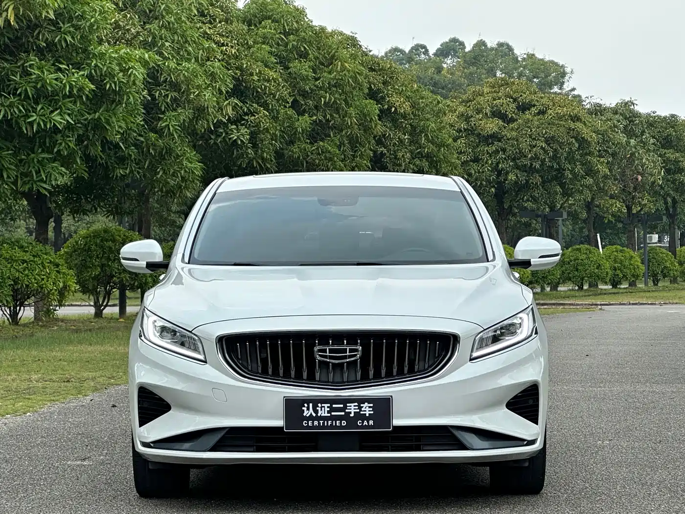 Geely Borui 2021 2021 1.8T Pilot Edition+