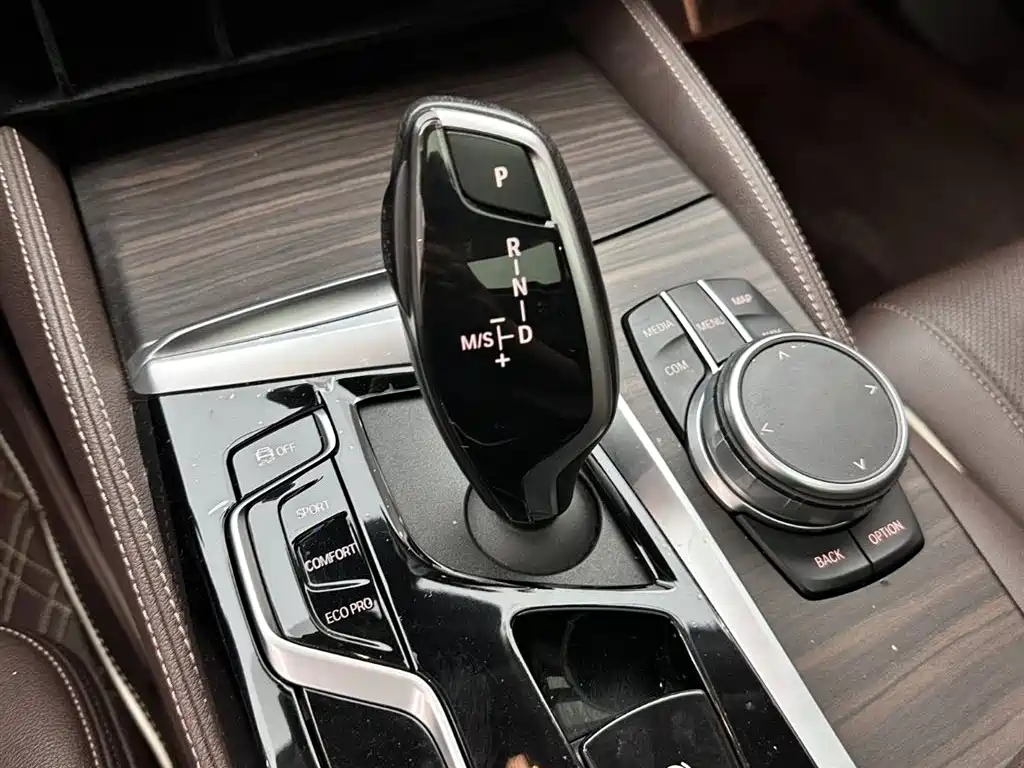 BMW 5 Series 2021 530Li Leading Luxury Package фото 15