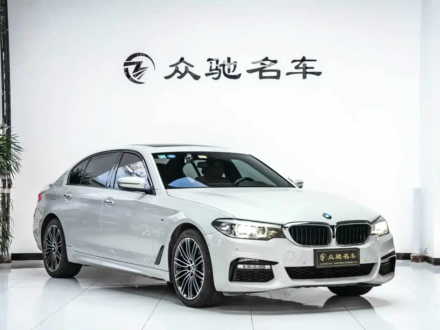 BMW 5 Series 2018 530Li Leading M Sport Package фото 3