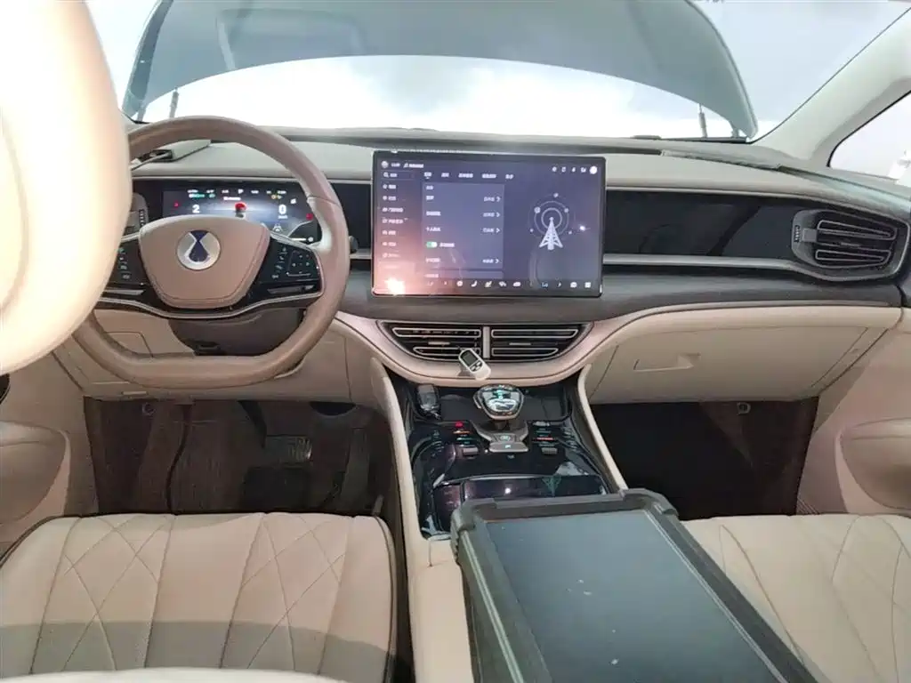 Denza D9 2022 DM-i 970 AWD Flagship фото 10
