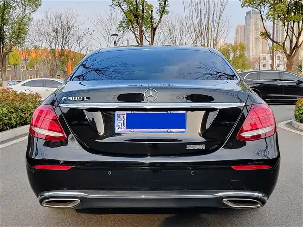 Mercedes-Benz E-Class 2019 E 300 L Fashion фото 12