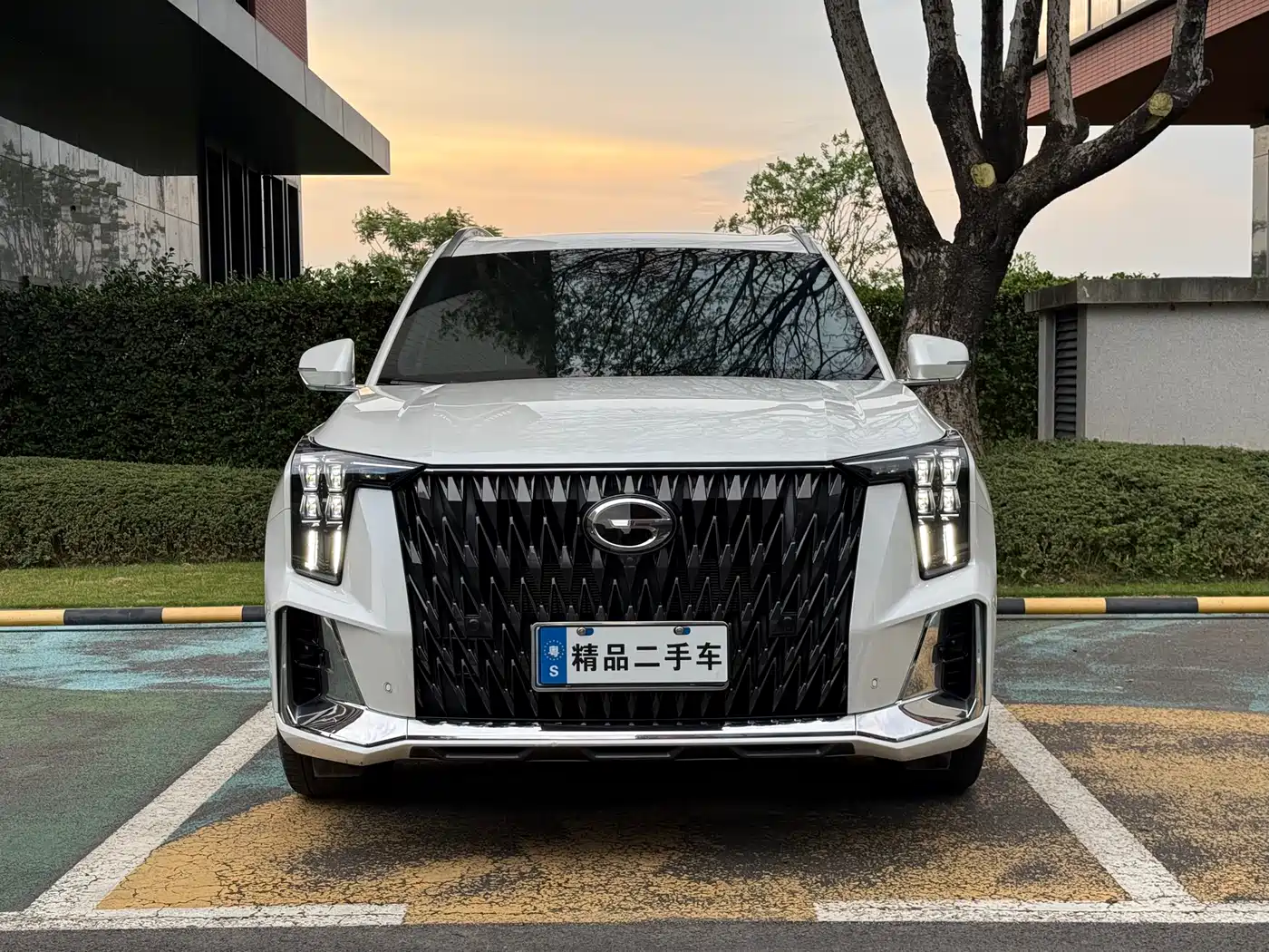 GAC Trumpchi Trumpchi GS8 2022 Dual Engine Series 2.0TM 2WD Premium Edition (6-Seater) фото 2