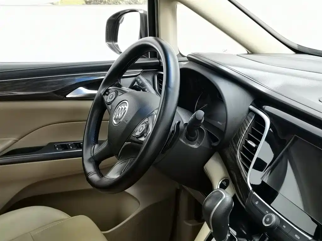 Buick GL8 2017 ES 28T Luxury China V фото 22
