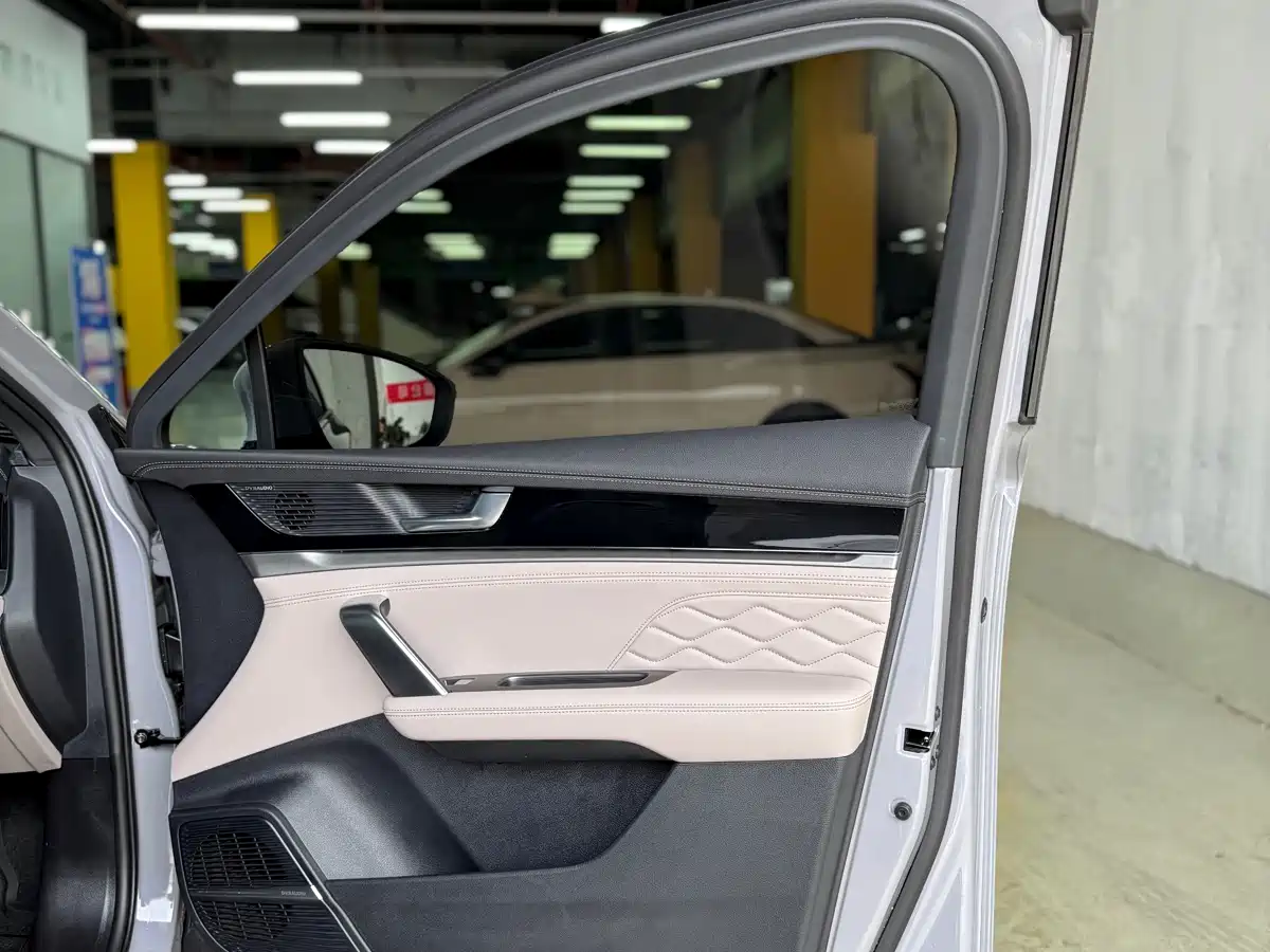 BYD Tang New Energy 2025 DM-i 115KM Premium фото 27
