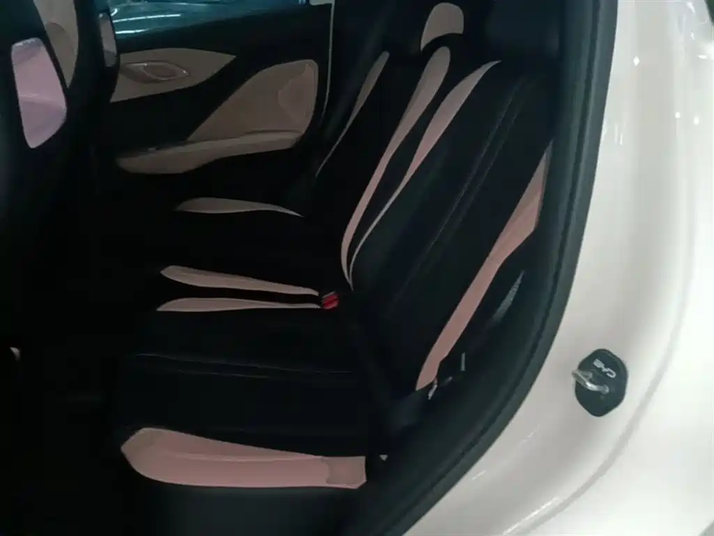 BYD Seagull 2024 Glory Edition 305km Vitality Edition фото 17