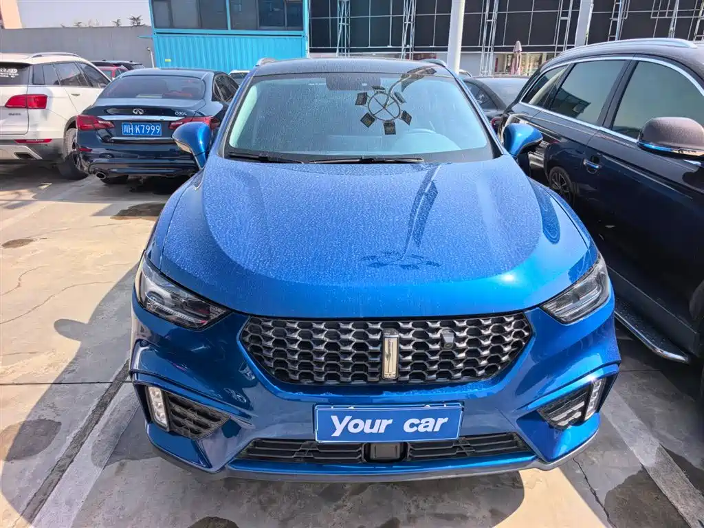 WEI PAI WEI BRAND VV5