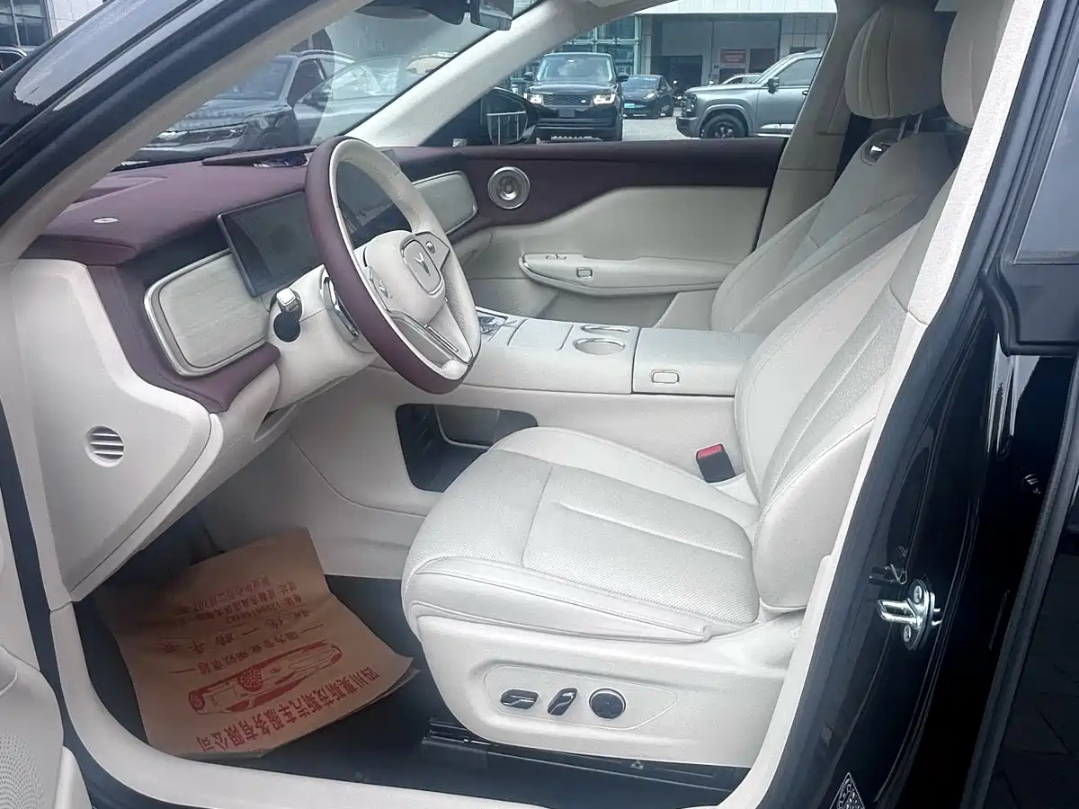 Voyah Auto Voyah Zhiyin 2025 Base фото 7
