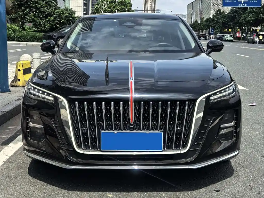 Hongqi H5 2024 2.0T Automatic Smart Connect Flag Smooth Edition фото 2