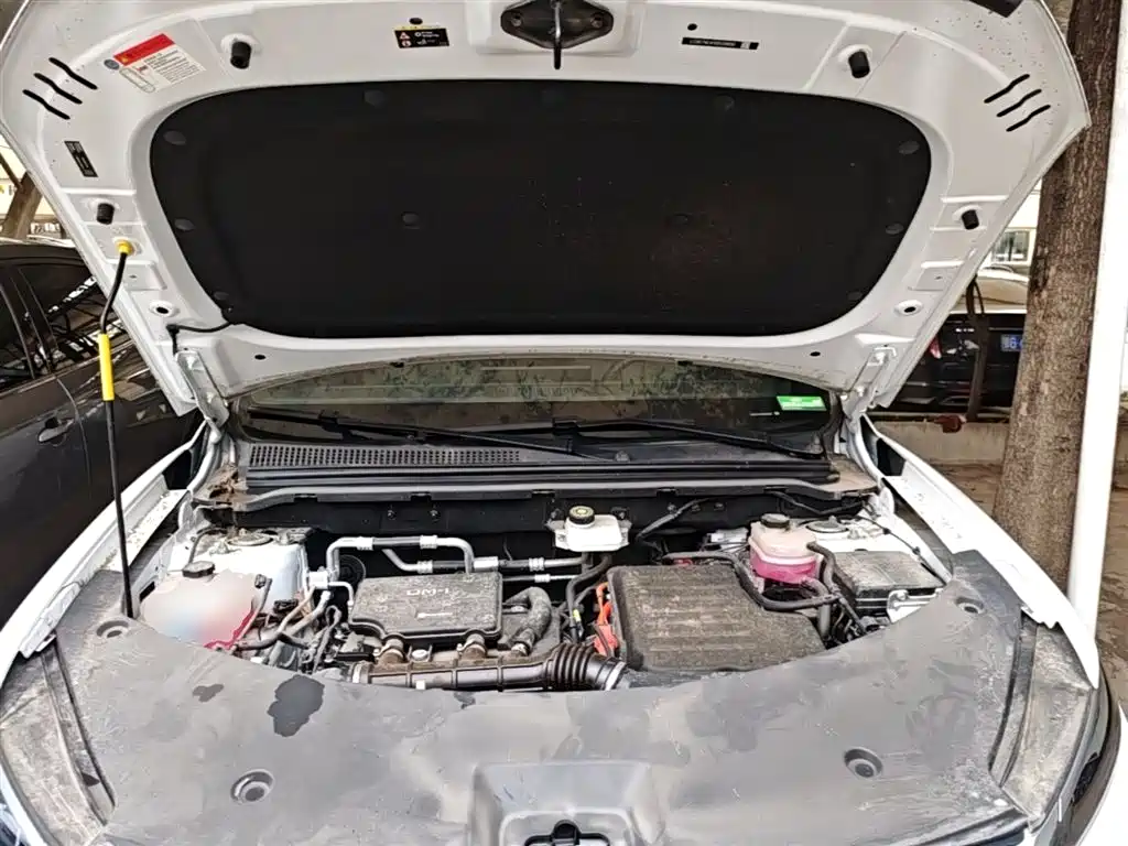 BYD Song Pro New Energy 2025 2nd Generation Smart Drive Edition DM-i 75KM Leading Type фото 20