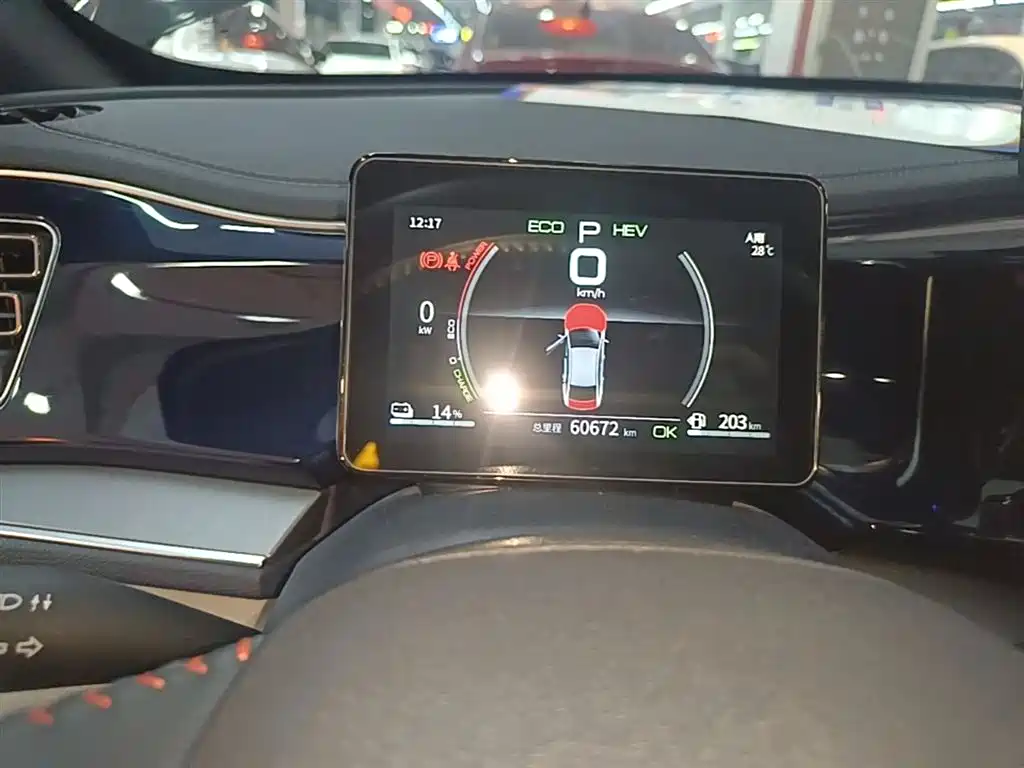 BYD Qin PLUS 2021 DM-i 55KM Flagship фото 11