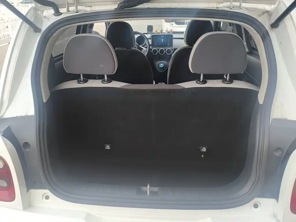 Ora Black Cat 2021 2021 351km Luxury Model