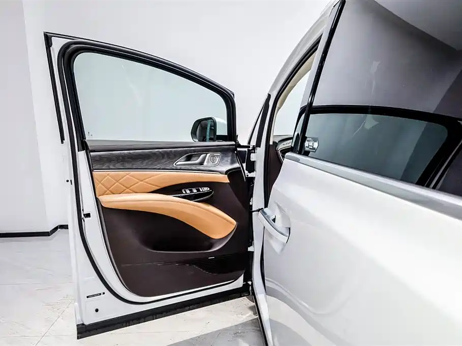 Denza D9 2024 DM-i 980 AWD Premium фото 10