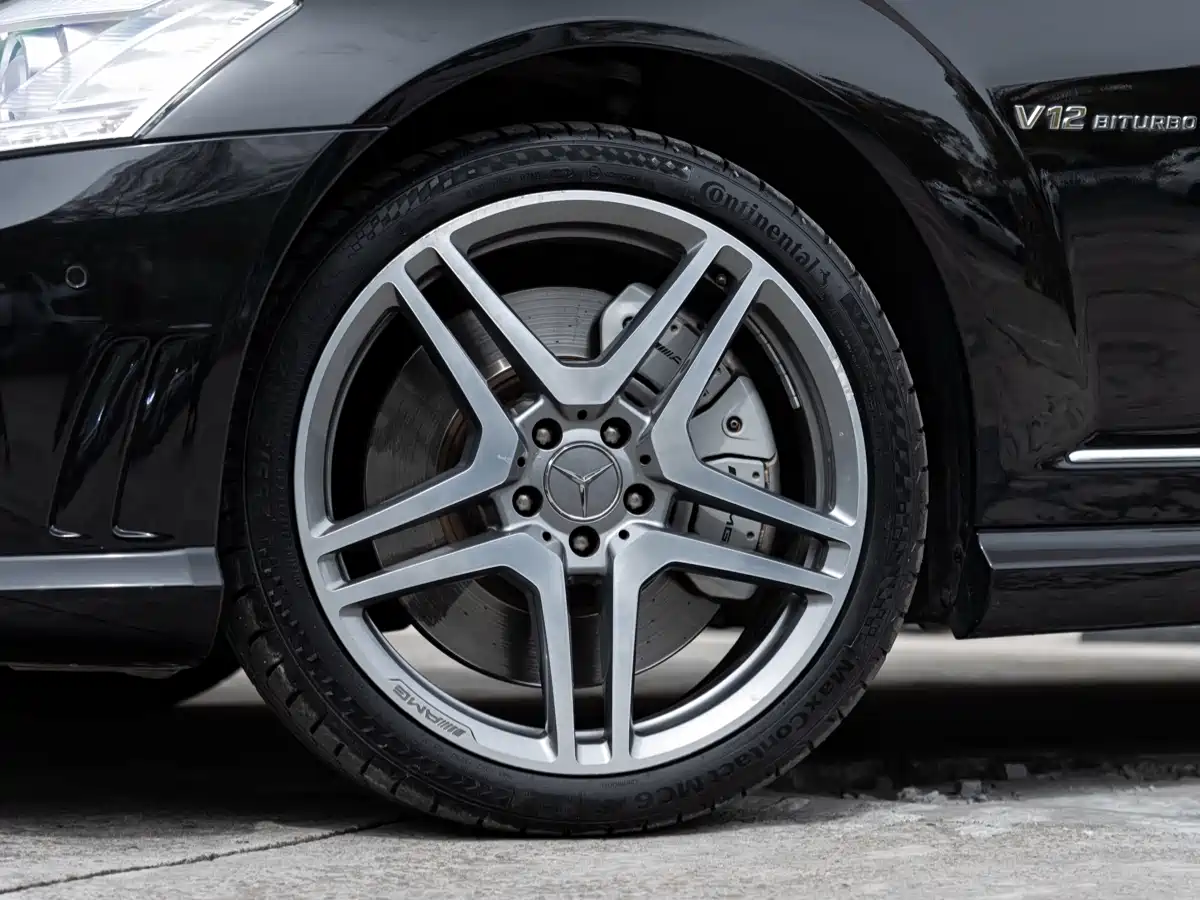 Mercedes-Benz S-Class AMG 2010 AMG S 65 фото 8