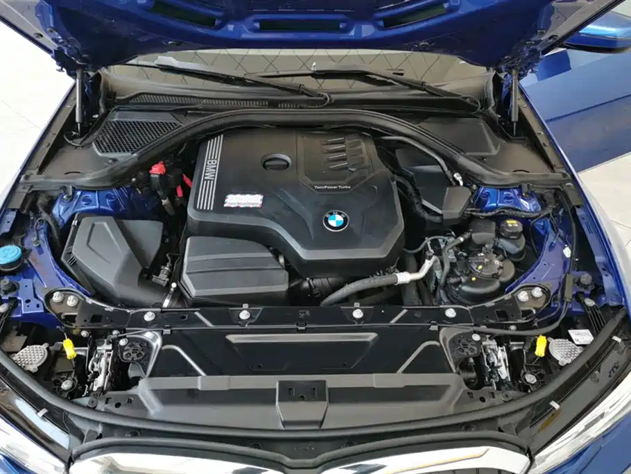 BMW 3 Series 2020 320Li M Sport Package фото 10