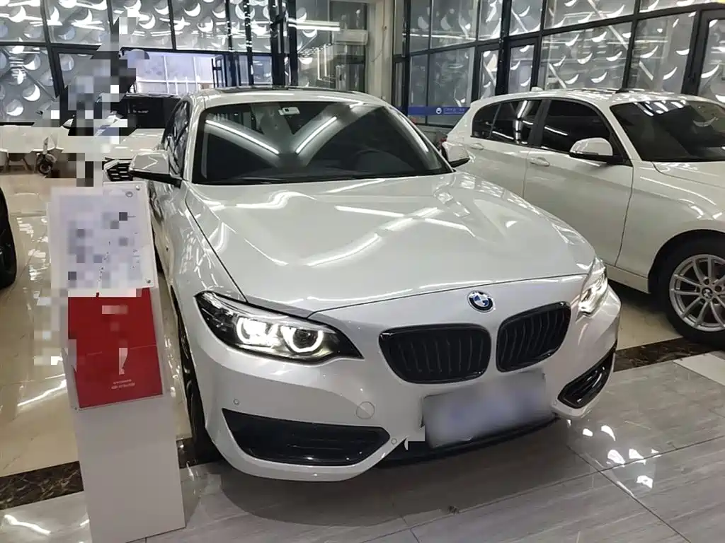 BMW 2 Series (Import) 2019 225i Sport Design Package фото 4