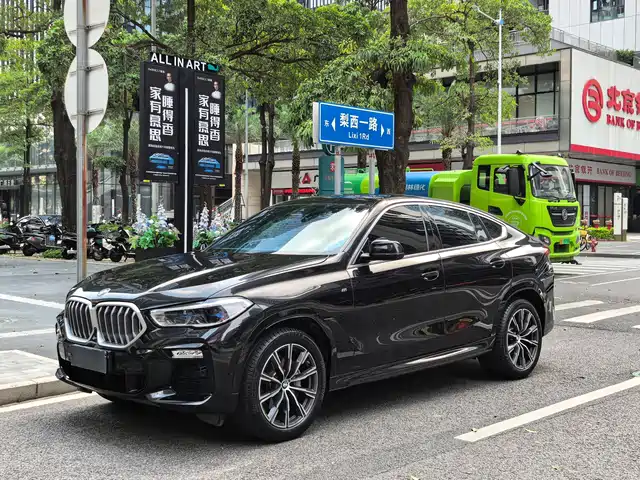 BMW X6
