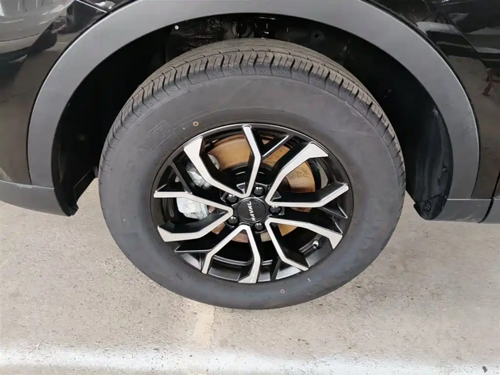 Haval H6 2025 1.5T National Trend Urban Edition фото 19