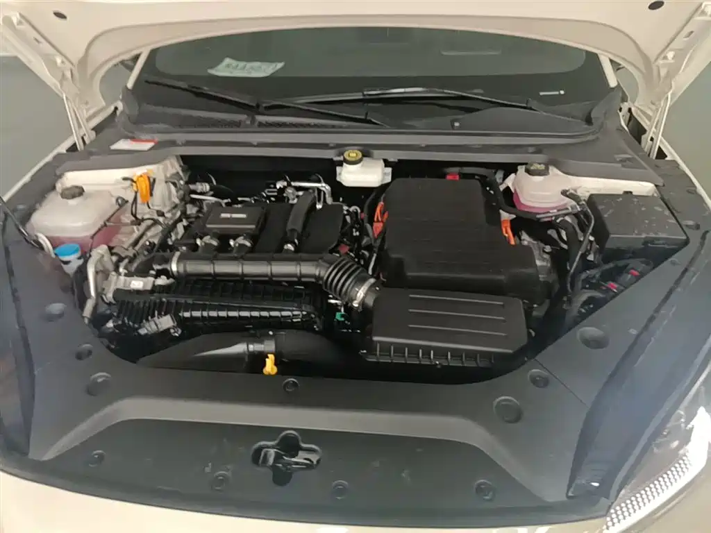BYD Seal 06 New Energy 2024 DM-i 80KM Prestige фото 20