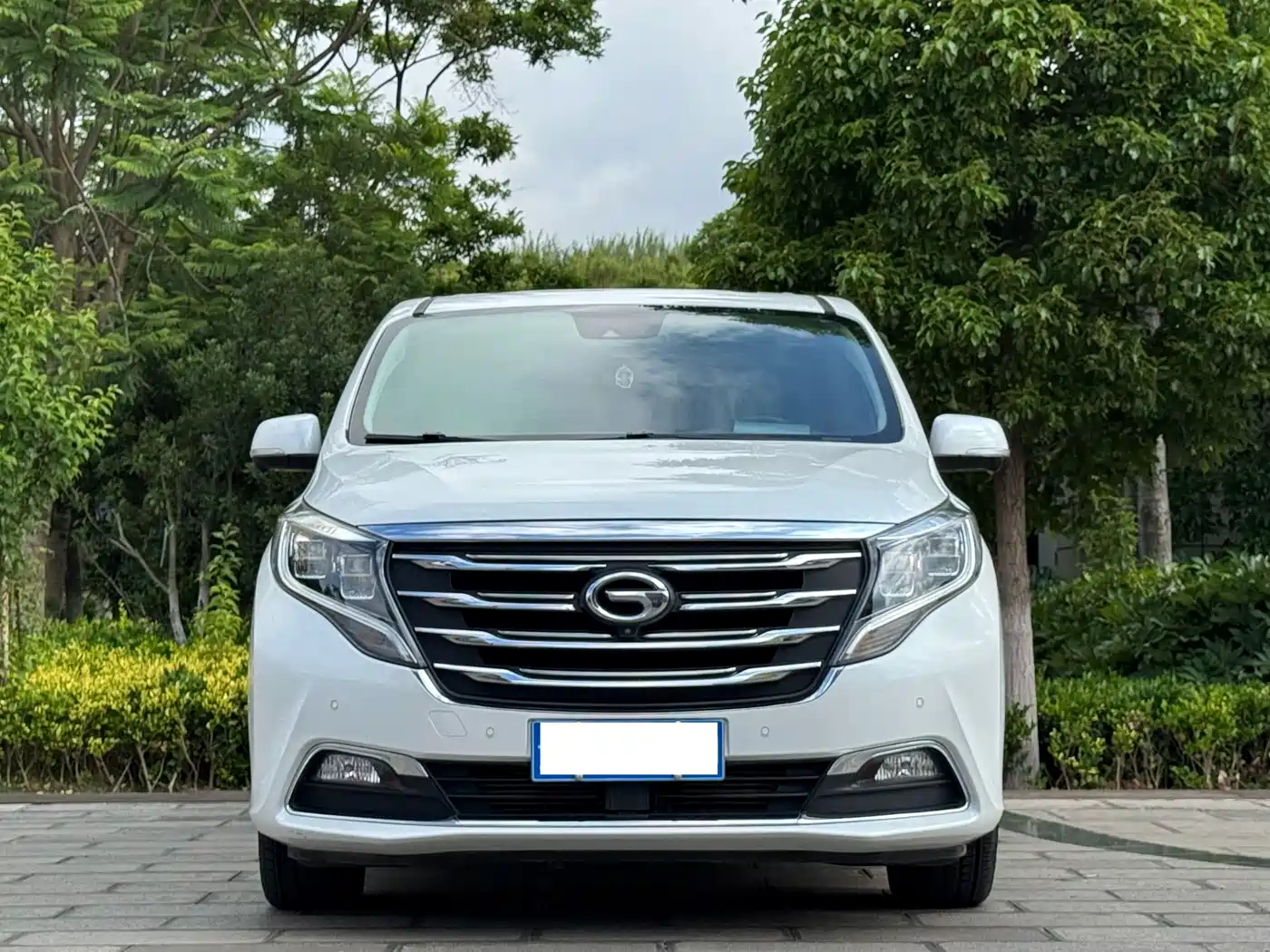 GAC Trumpchi Trumpchi M8 2018 320T Flagship Edition фото 2