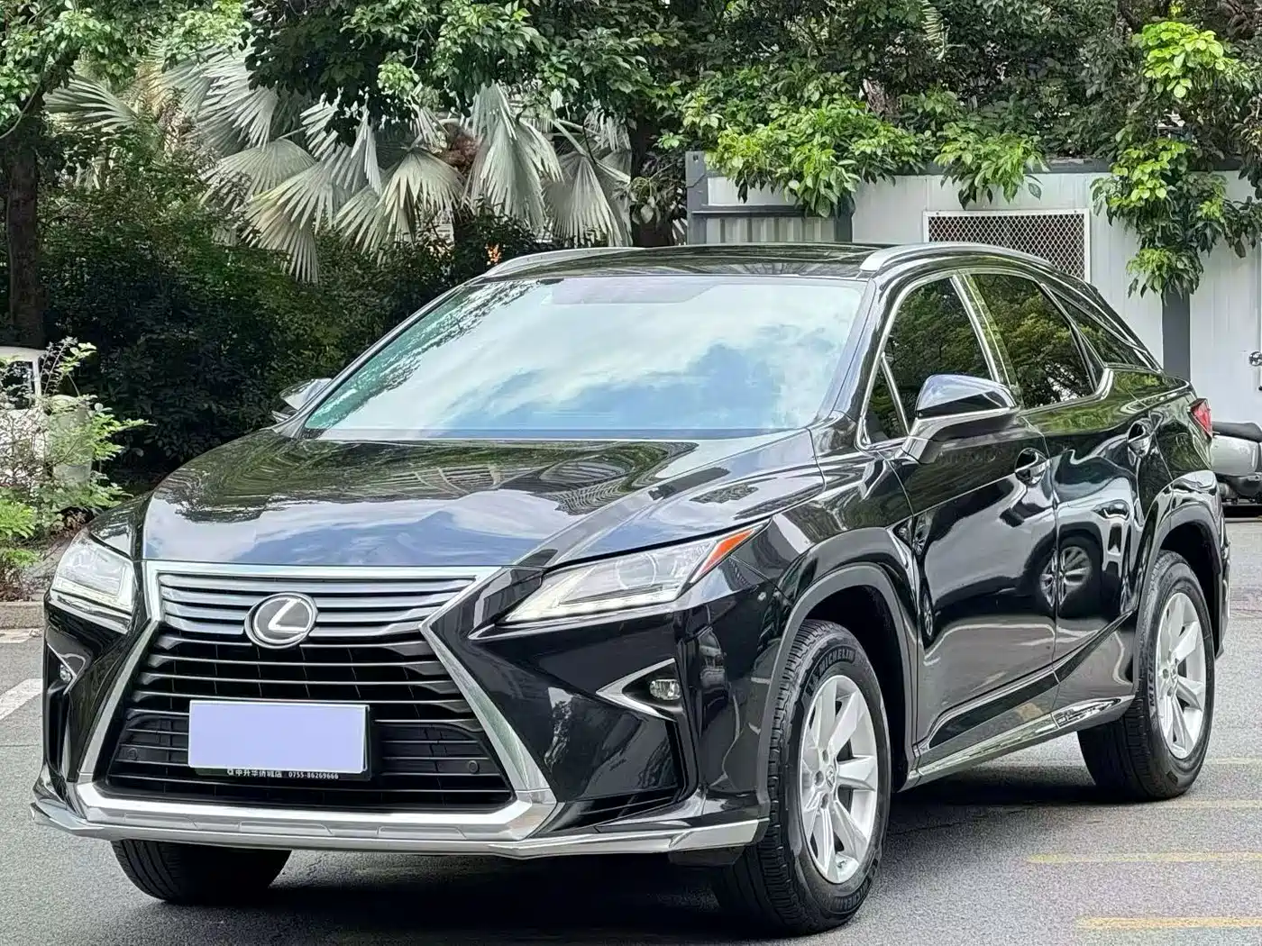 LEXUS RX