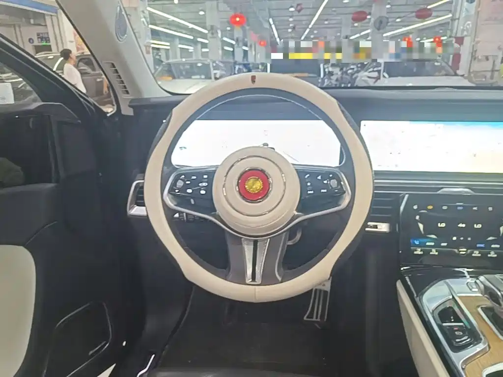 Фото 11 - Hongqi E-HS9