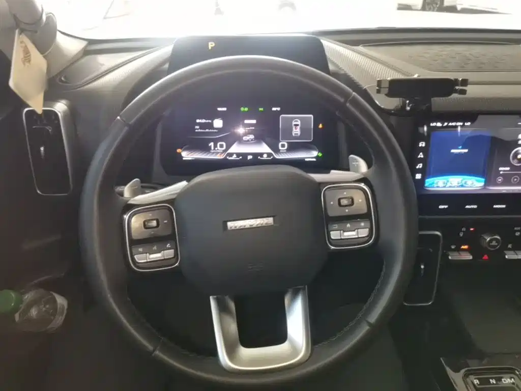 Haval Big Dog 2022 1.5T DCT FWD Border Collie Edition фото 11