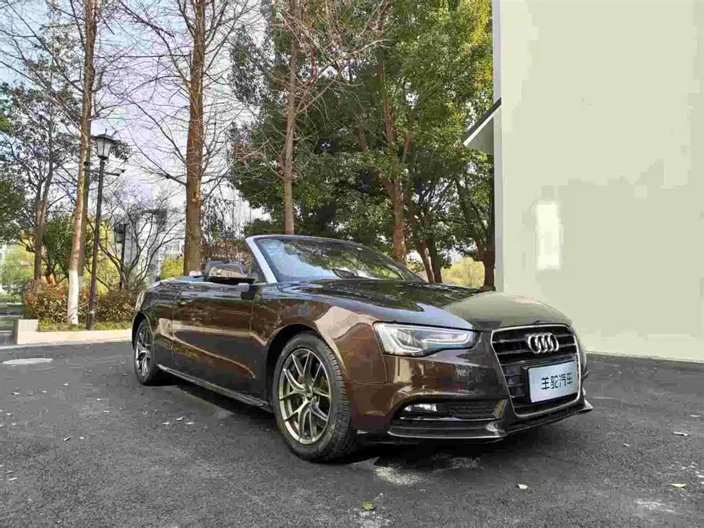 Audi A5 (Import) 2012 2.0TFSI Cabriolet фото 3