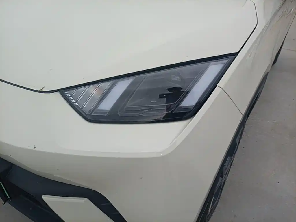 BYD Seagull 2025 2024 Glory Edition 305km Freedom Edition