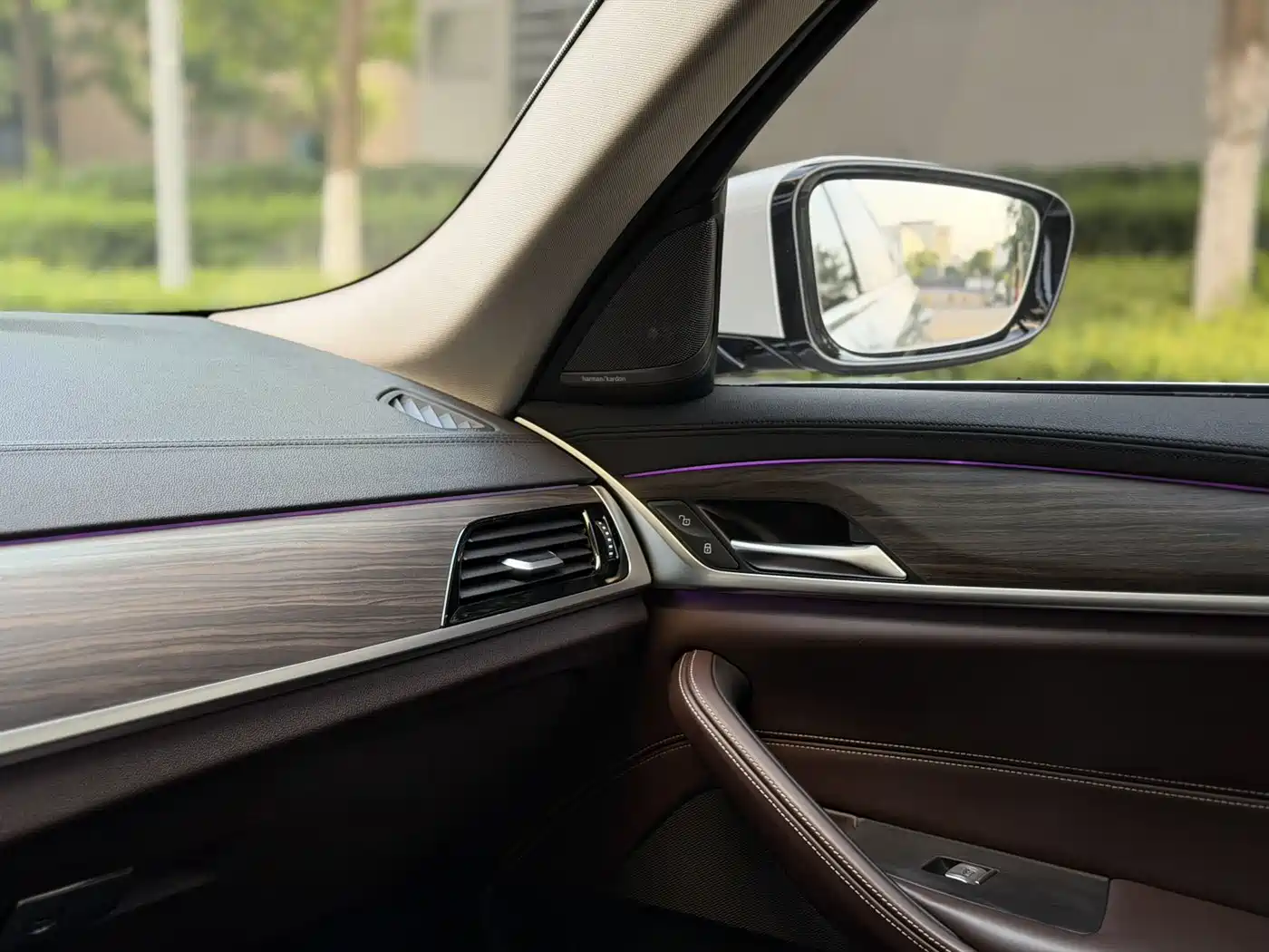 BMW 5 Series 2019 530Li xDrive Luxury Package фото 10