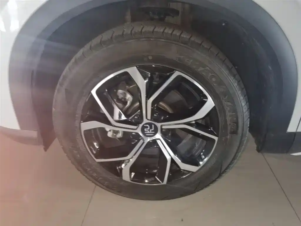 BYD Yuan PLUS 2024 Glory Edition 510KM Leading фото 23
