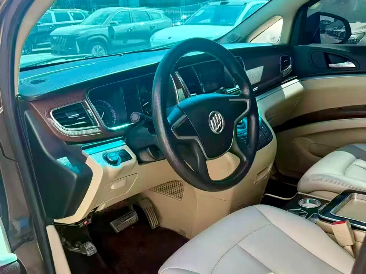 Buick GL8 2014 2.4L CT Luxury Business Comfort фото 7