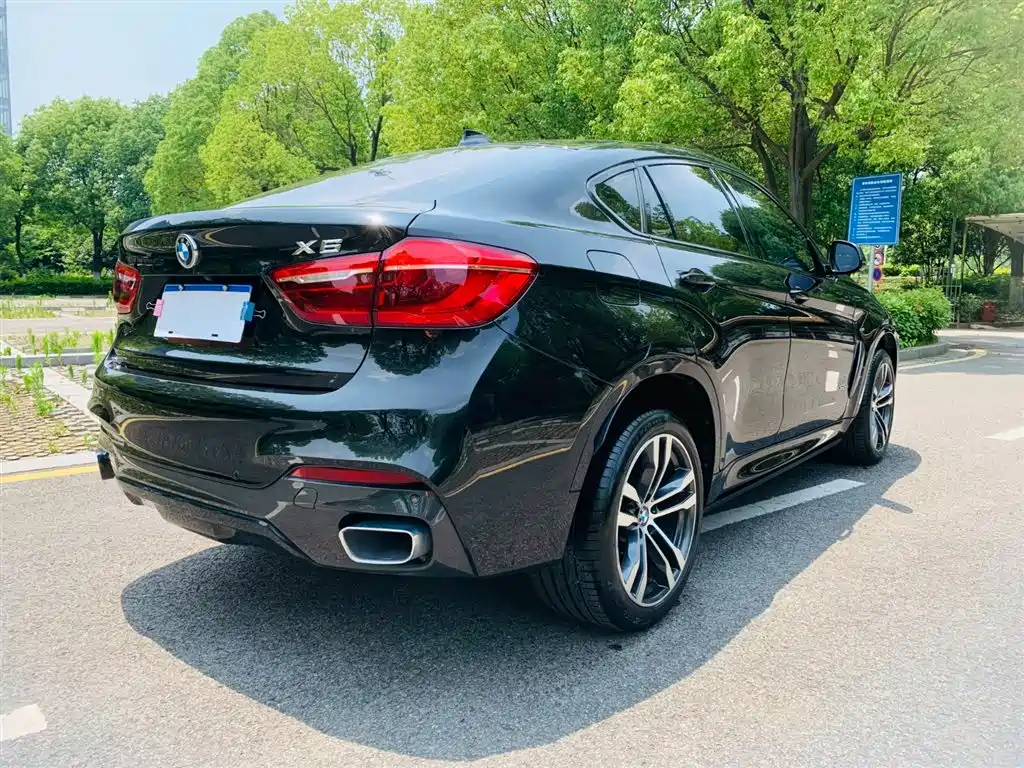BMW X6 2018 xDrive35i M Sport Luxury Model фото 8
