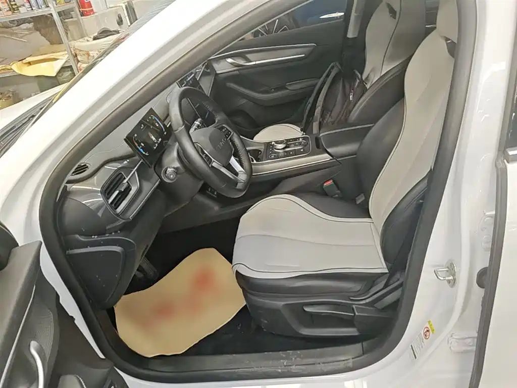 BYD Destroyer 05 2024 Glory Edition DM-i 55KM Luxury фото 15
