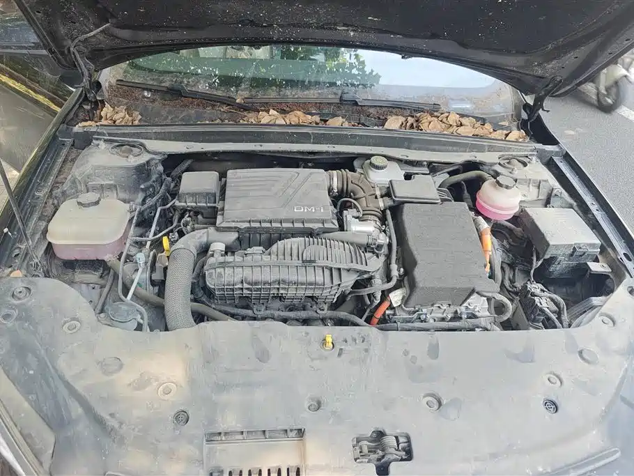 BYD Qin PLUS 2023 Champion Edition DM-i 55KM Leading фото 10