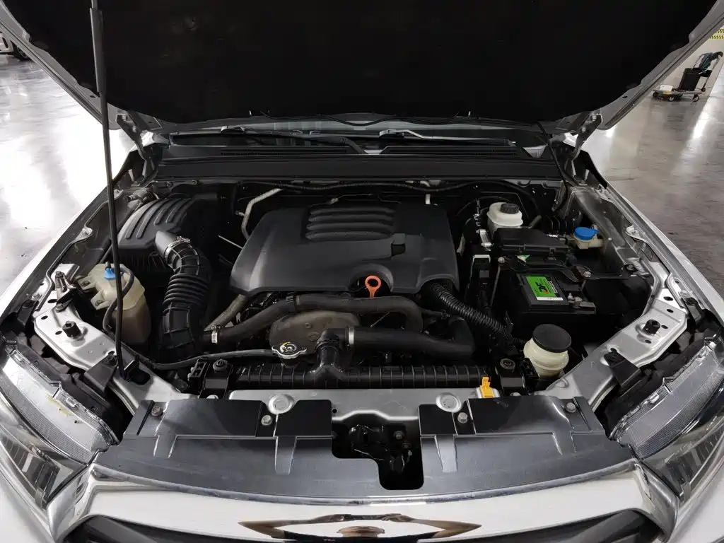 Great Wall Fengjun 7 2019 2019 2.0T Gasoline 2WD Elite China VI Large Double GW4C20B
